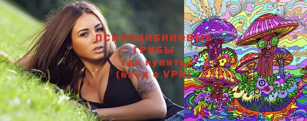 прущая мука Карпинск