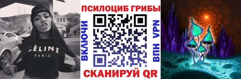 что такое наркотик  OMG рабочий сайт  мориарти состав  Новочебоксарск  Псилоцибиновые грибы мицелий 
